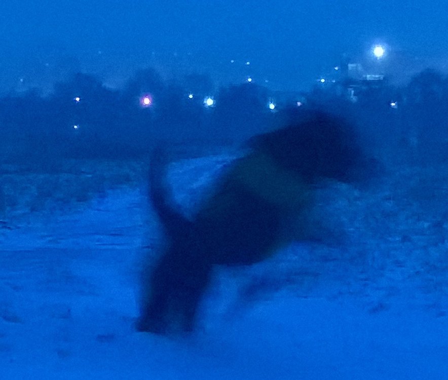 WP_20180302_18_09_22_Pro 1.jpg