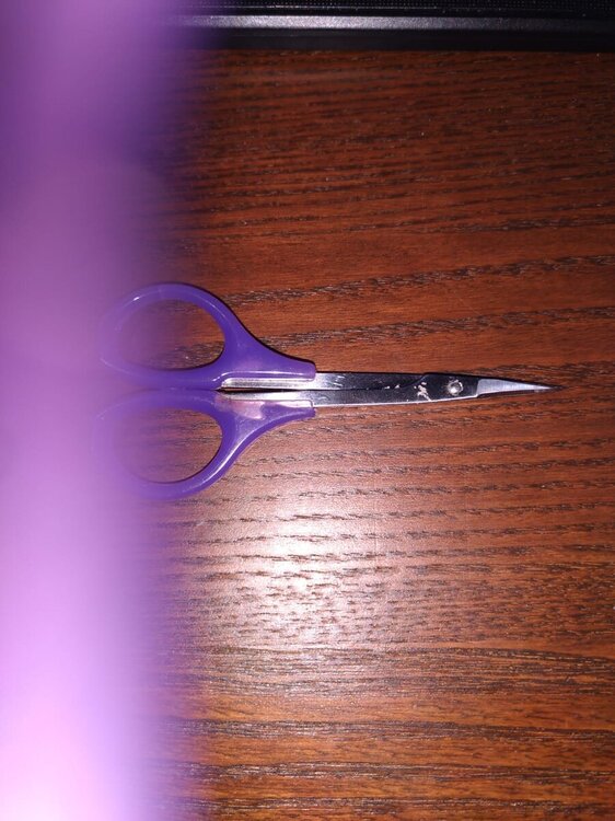 WhatsApp Image 2020-07-09 at 20.16.54.jpeg