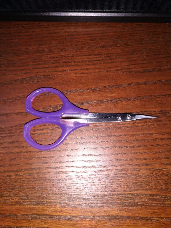 WhatsApp Image 2020-07-09 at 20.16.47.jpeg